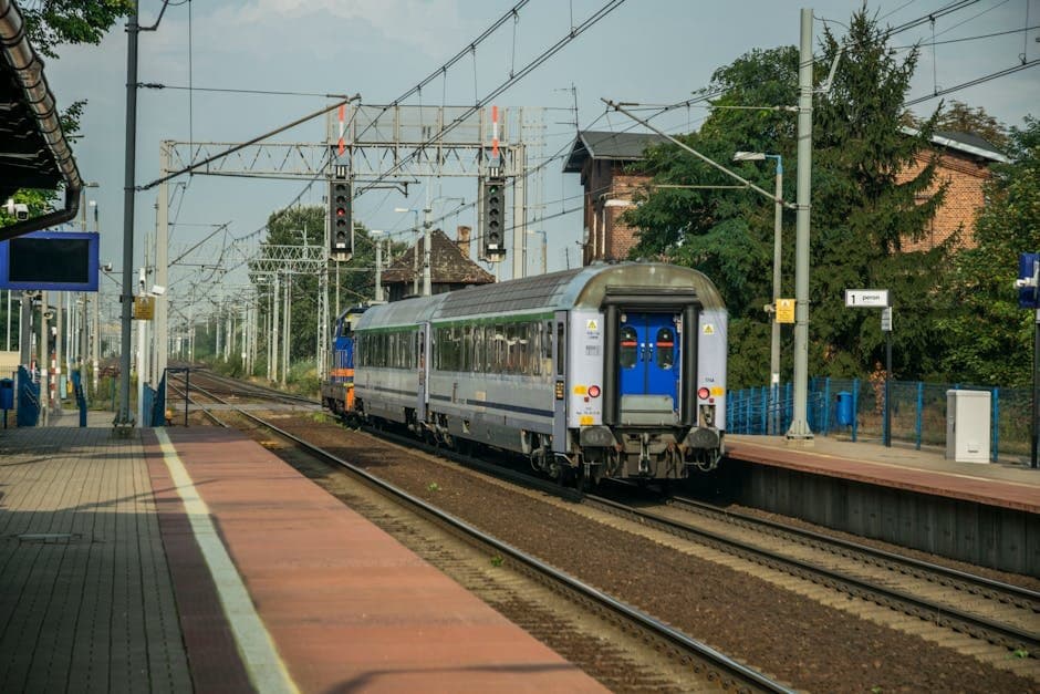 Job: Cleaning Service Provider